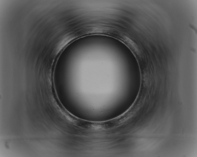 X0000097750794200803071247