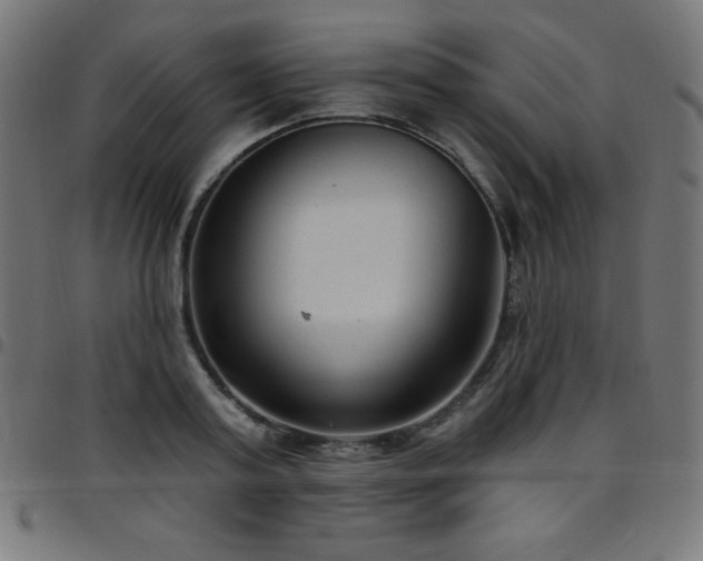 X0000097750795200803071247