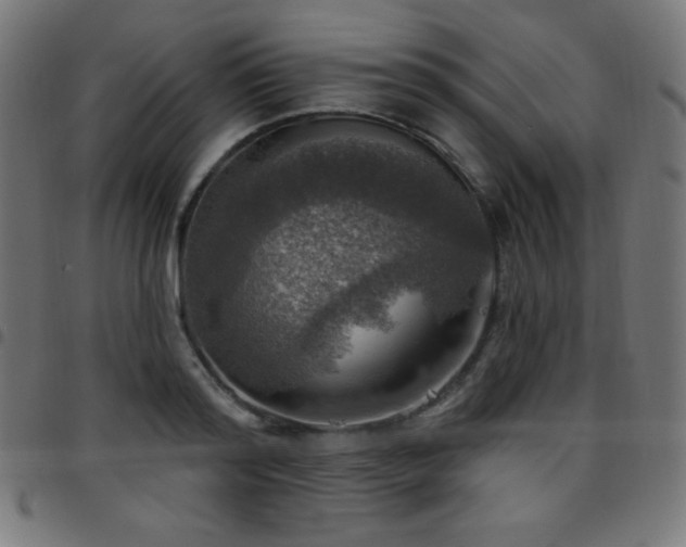 X0000097750796200803071247