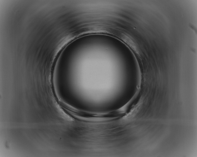 X0000097750797200803071247