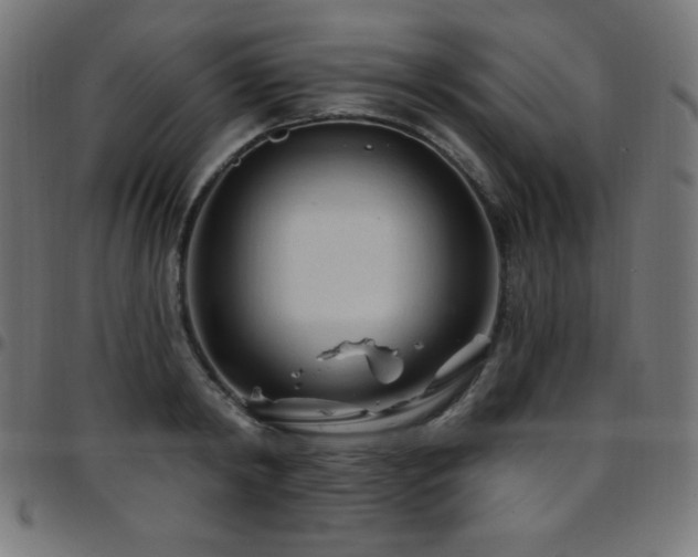X0000097750798200803071247