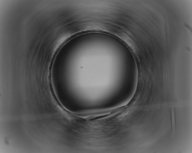 X0000097750799200803071247