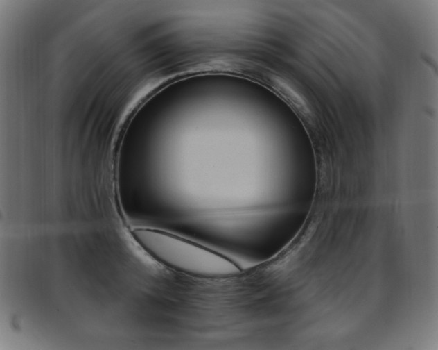 X0000097750800200803071247
