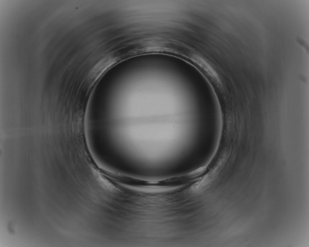 X0000097750801200803071247
