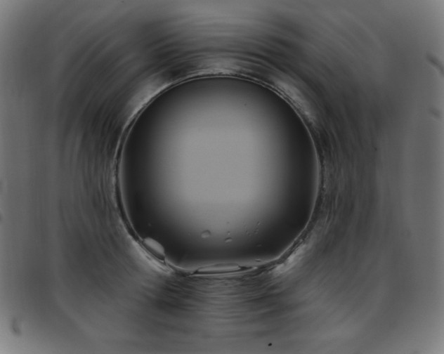 X0000097750802200803071247