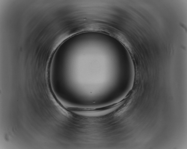 X0000097750803200803071247
