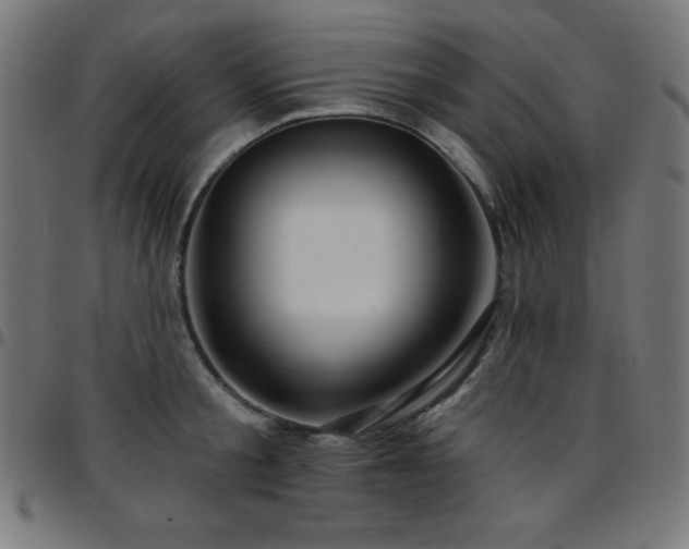 X0000097750805200803071247