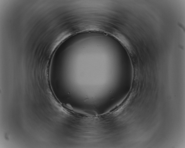 X0000097750806200803071247