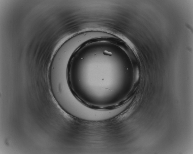 X0000097750807200803071247