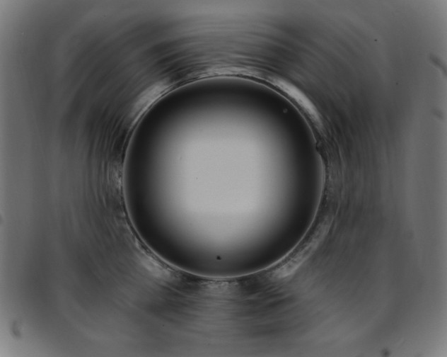 X0000097750809200803071247