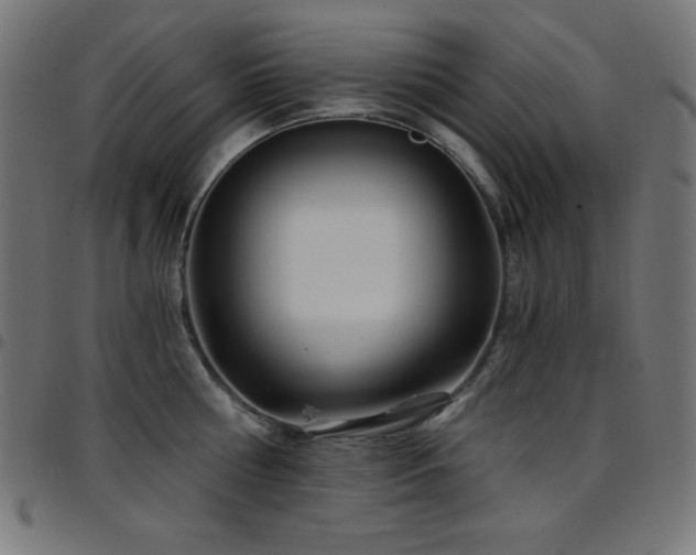 X0000097750810200803071247