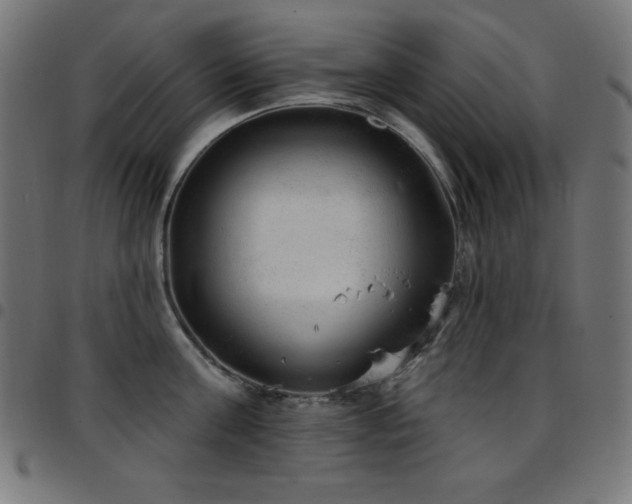 X0000097750811200803071247