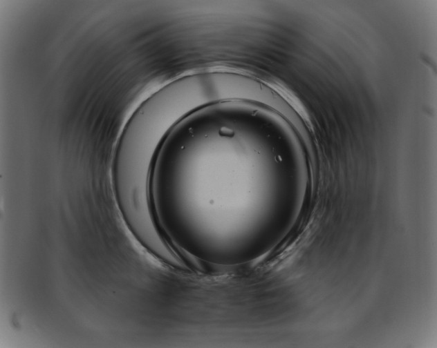 X0000097750813200803071247