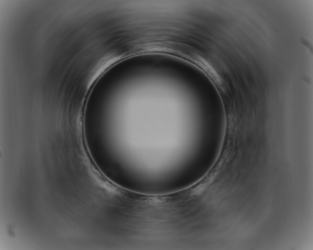 X0000097750814200803071247