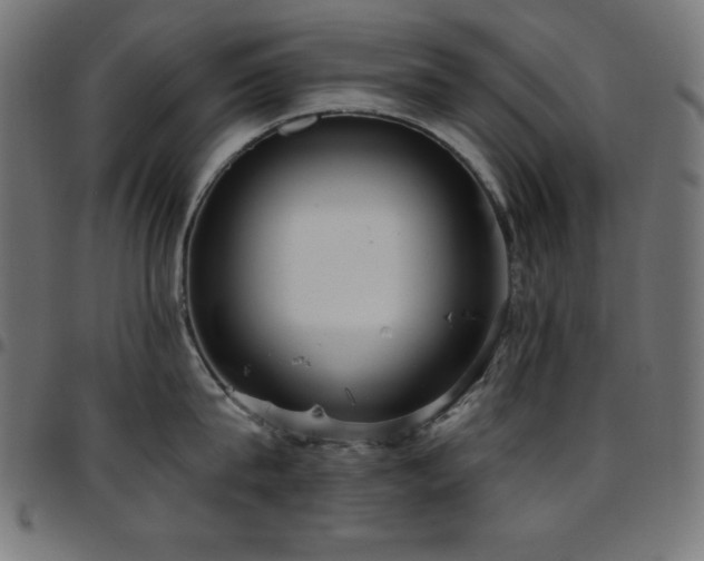 X0000097750815200803071247