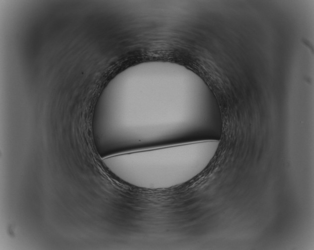 X0000097750817200803071246