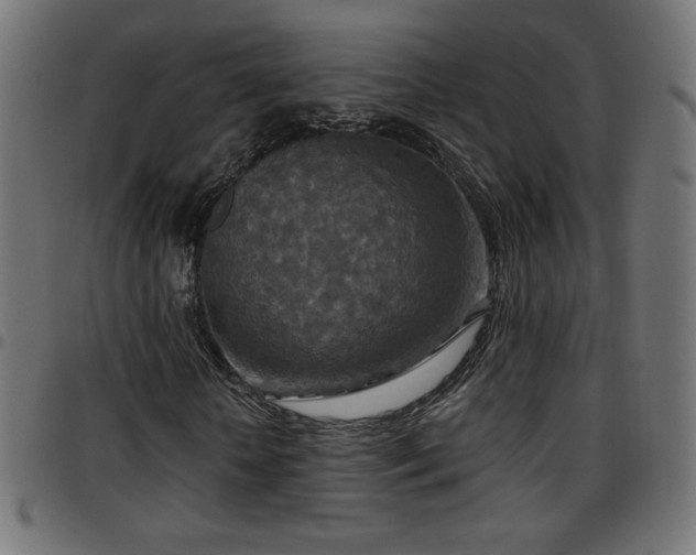 X0000097750818200803071246