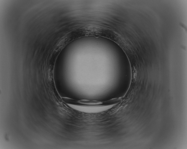 X0000097750819200803071246