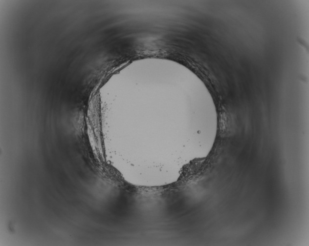 X0000097750820200803071246