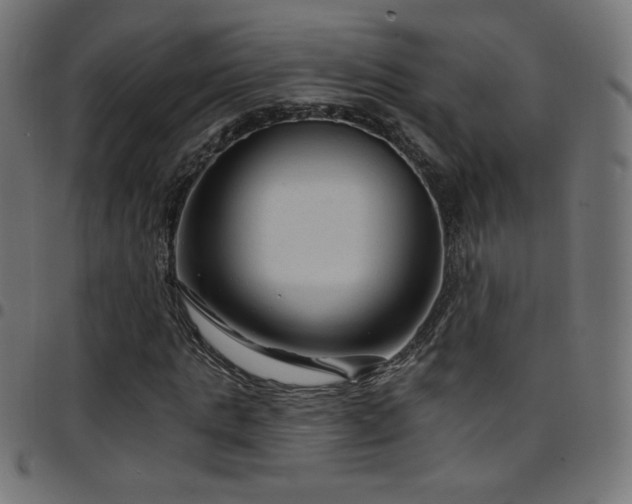 X0000097750821200803071246