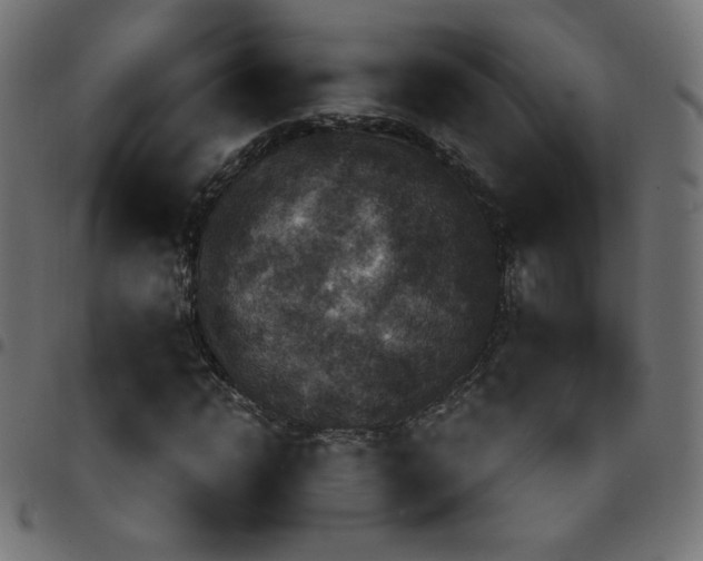 X0000097750822200803071246