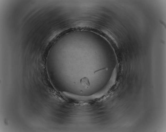 X0000097750823200803071246