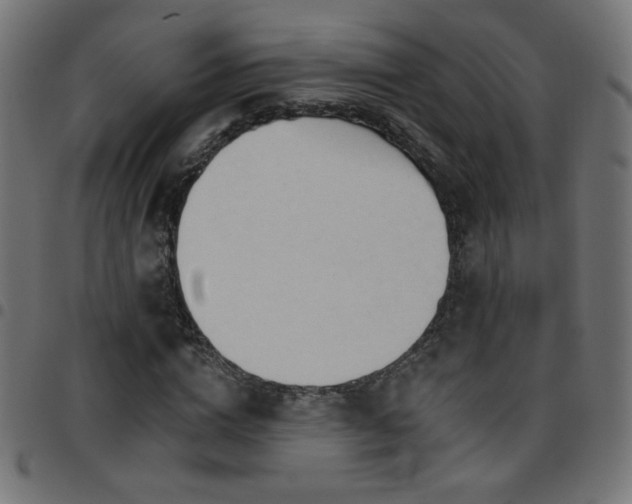 X0000097750824200803071246