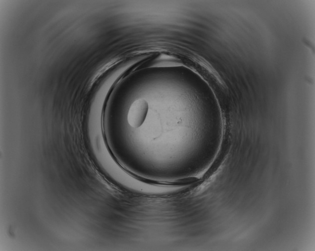X0000097750826200803071246