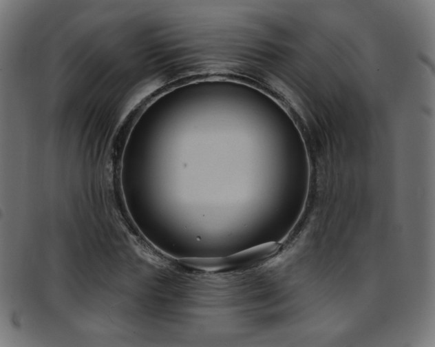 X0000097750827200803071246