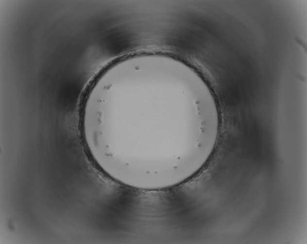 X0000097750828200803071246