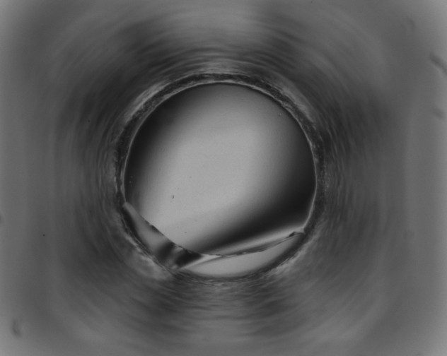 X0000097750829200803071246