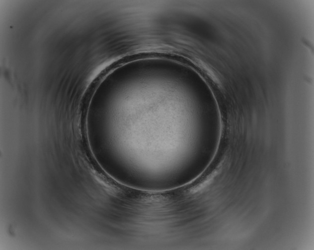 X0000097750830200803071246