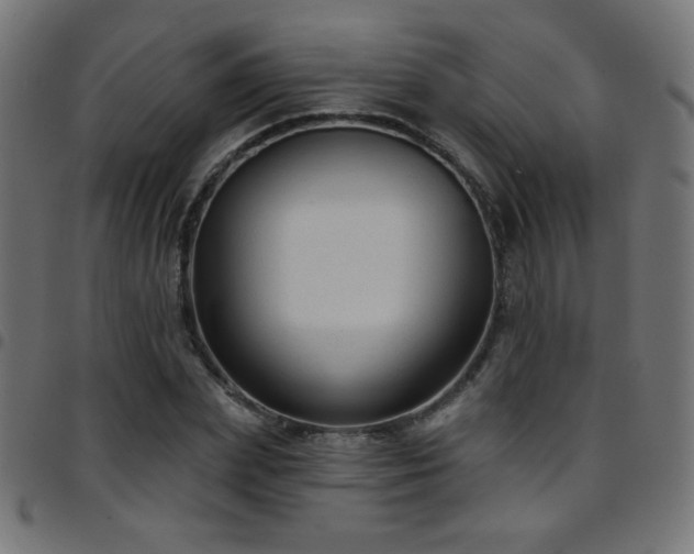 X0000097750831200803071246