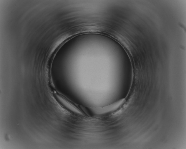 X0000097750835200803071246