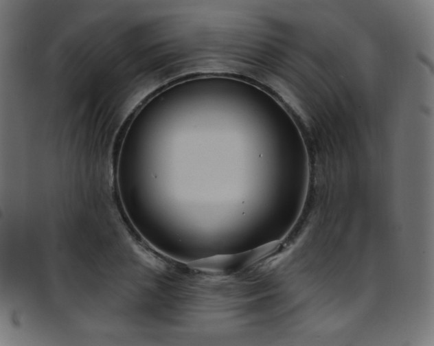 X0000097750837200803071246