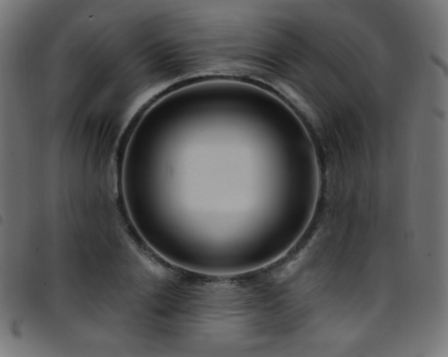 X0000097750838200803071246