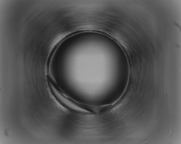 X0000097750839200803071246