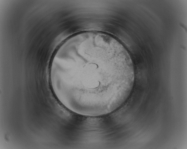 X0000097750840200803071246