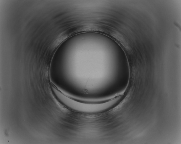 X0000097750841200803071246