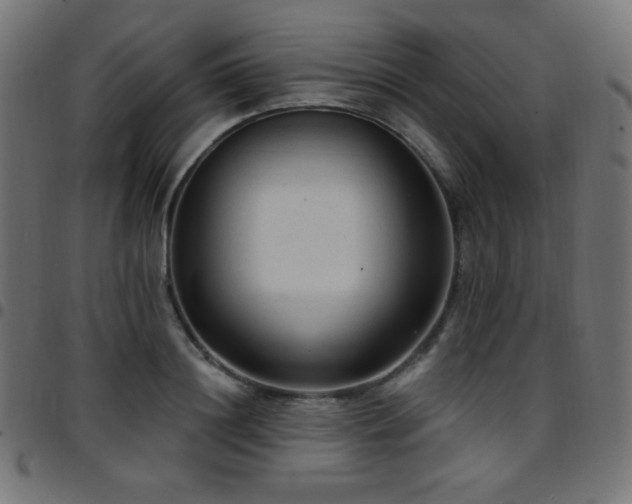 X0000097750844200803071246