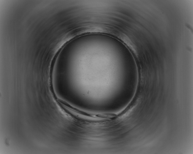 X0000097750845200803071246