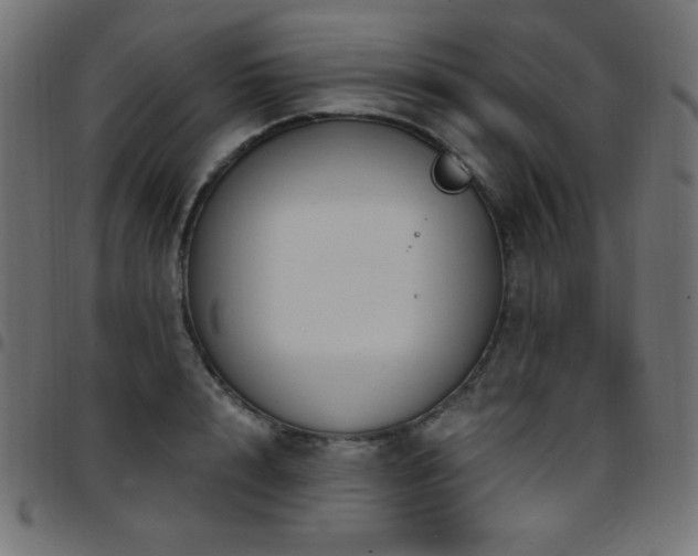 X0000097750848200803071246