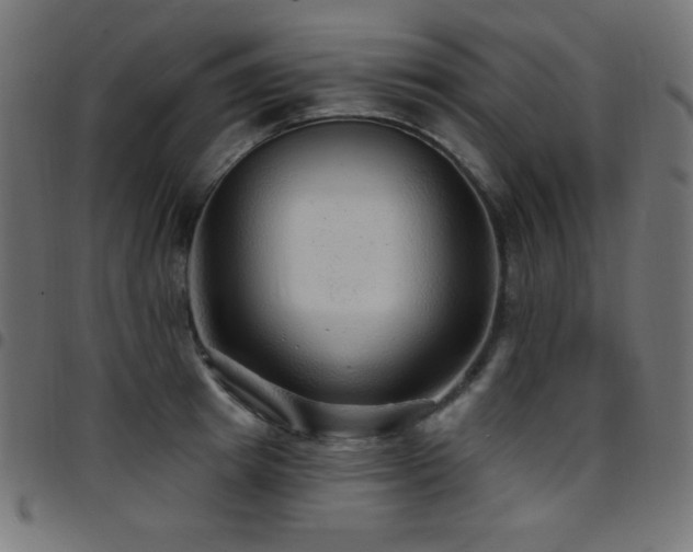 X0000097750849200803071247