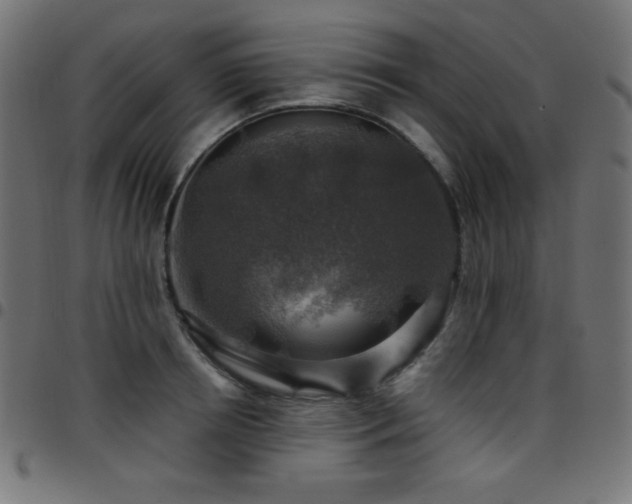 X0000097750850200803071247