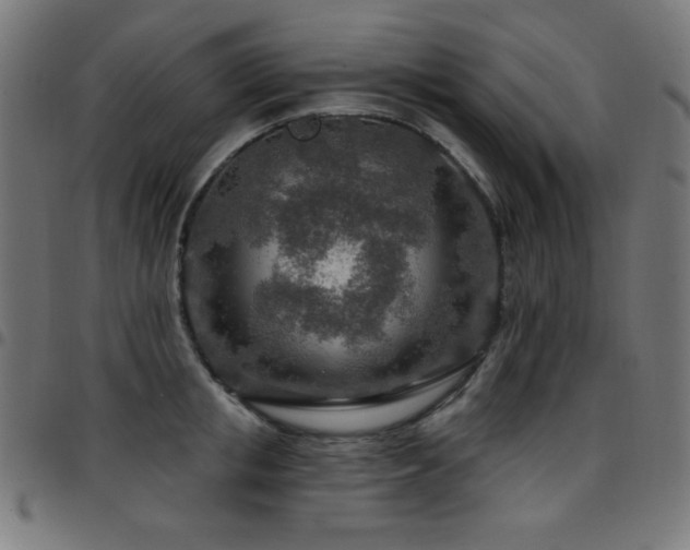 X0000097750853200803071247
