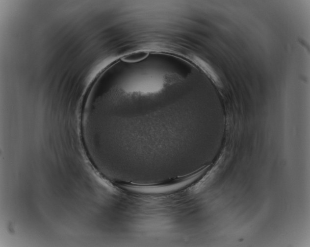 X0000097750854200803071247