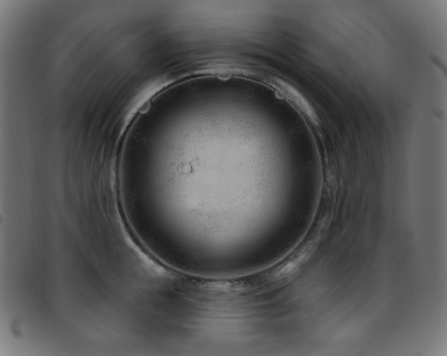 X0000097750855200803071247