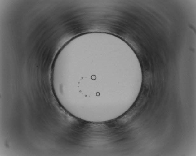 X0000097750856200803071247