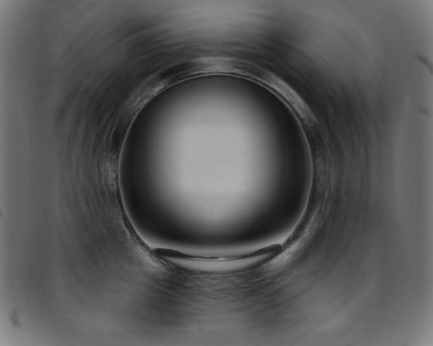 X0000097750857200803071247