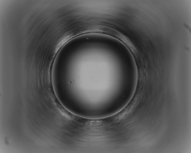 X0000097750858200803071247
